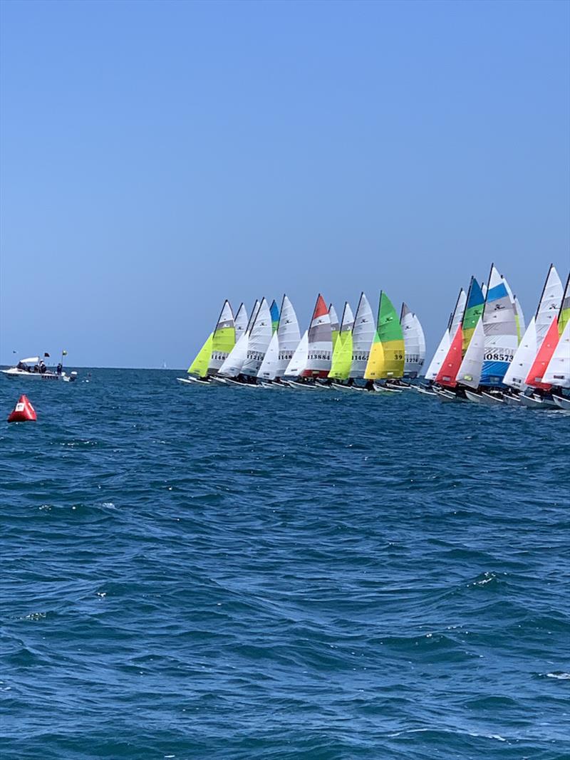 Hobie 16 start line - 2019-20 Australian Hobie Cat Nationals, day 1 - photo © Murray Wood