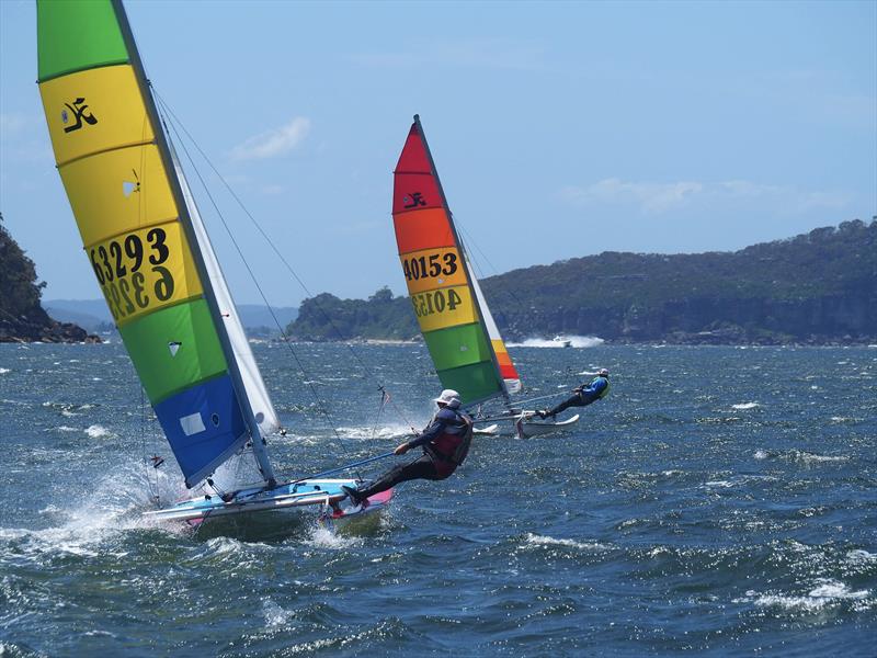 Palm Beach Sailing Club's annual 'Beware The Bullets' Regatta - Nelson, hot on Hatto heels - photo © Dick Clarke