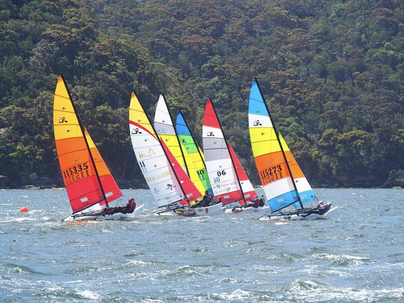 Palm Beach Sailing Club's annual 'Beware The Bullets' Regatta photo copyright Dick Clarke taken at Palm Beach Sailing Club, Sydney and featuring the Hobie 16 class