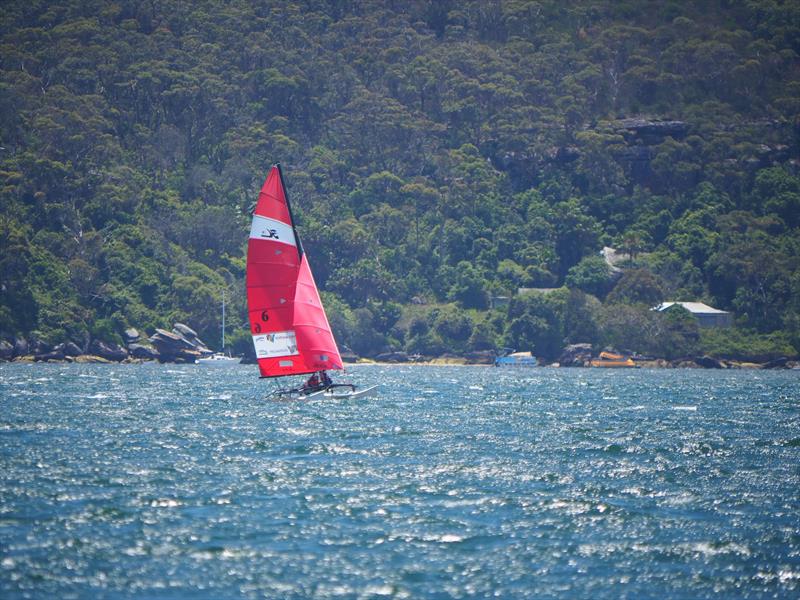 Palm Beach Sailing Club's annual 'Beware The Bullets' Regatta - our future: Jimmy & Brody - photo © Dick Clarke