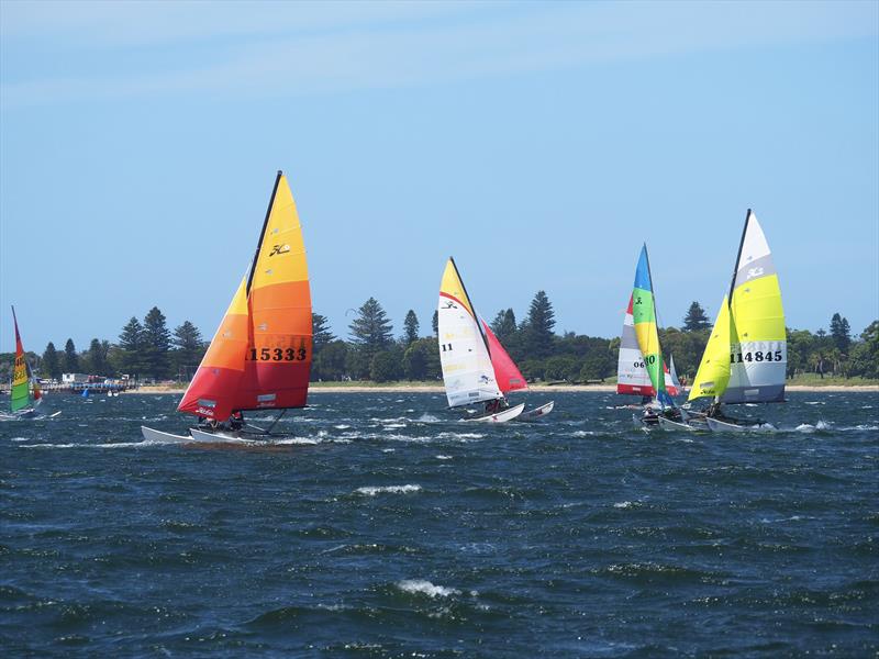 Palm Beach Sailing Club's annual 'Beware The Bullets' Regatta - Munyunga, Mak 2, Norbet & SliggaBeggas Back, all on the downhill run photo copyright Dick Clarke taken at Palm Beach Sailing Club, Sydney and featuring the Hobie 16 class