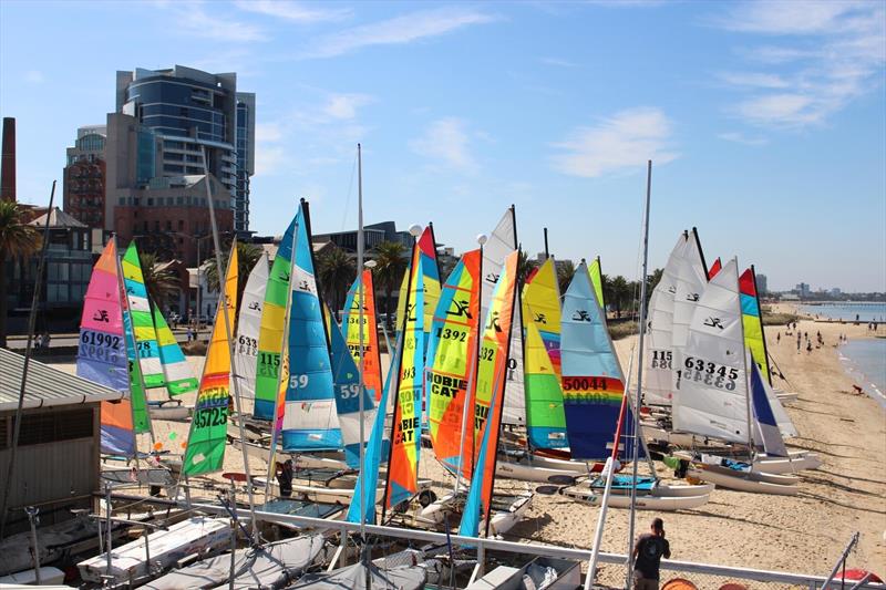 Victorian Hobie State Championships 2023 photo copyright Mads Gillard taken at Port Melbourne Yacht Club and featuring the Hobie 16 class