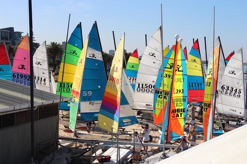 Victorian Hobie State Championships 2023 - photo © Mads Gillard