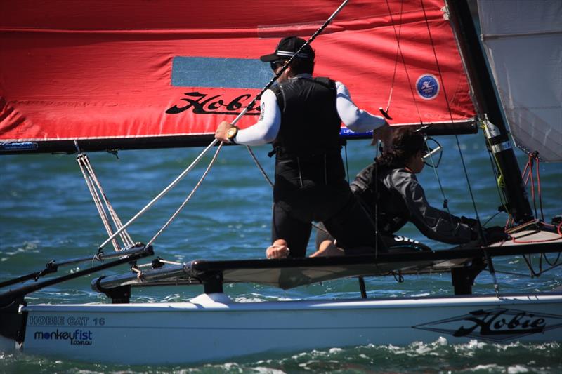 Queensland Hobie Cat State Championships photo copyright Spikey Mike taken at Royal Queensland Yacht Squadron and featuring the Hobie 16 class