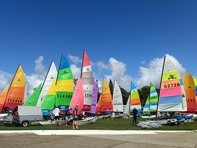 Queensland Hobie Cat State Championships - waiting for wind photo copyright Spikey Mike taken at Royal Queensland Yacht Squadron and featuring the Hobie 16 class
