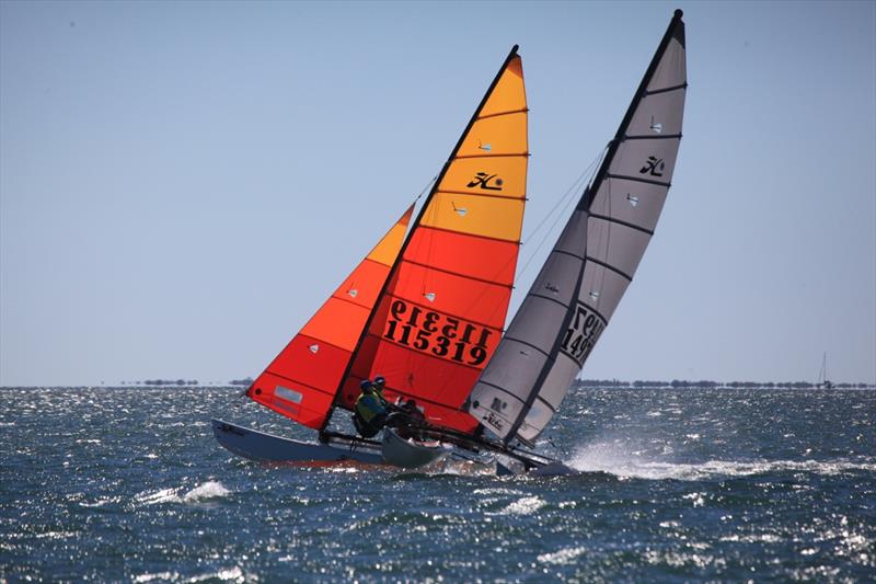 Queensland Hobie Cat State Championships - photo © Spikey Mike