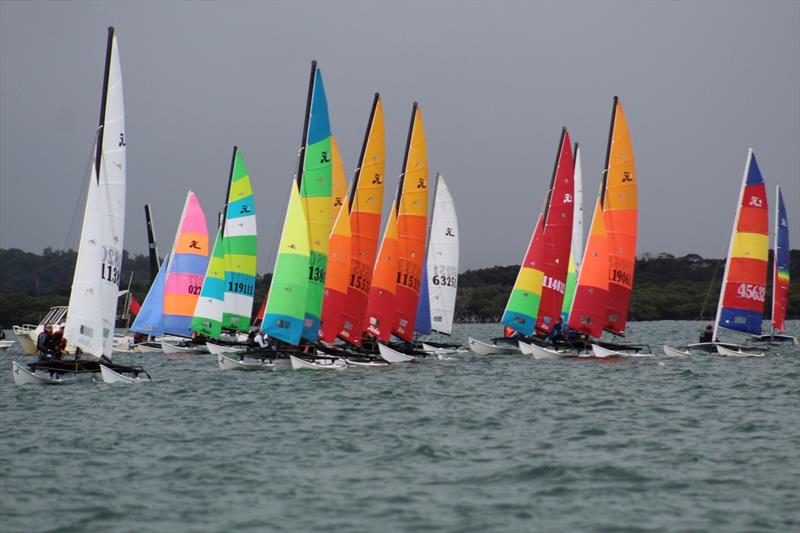 2023-24 NSW Hobie Cat State Championships at the Kurnell Catamaran Club photo copyright Alannah Simpson taken at  and featuring the Hobie 16 class