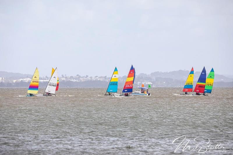 NSW Hobie Cat State Championships 2024 photo copyright Alannah Simpson taken at Toukley Sailing Club and featuring the Hobie 16 class