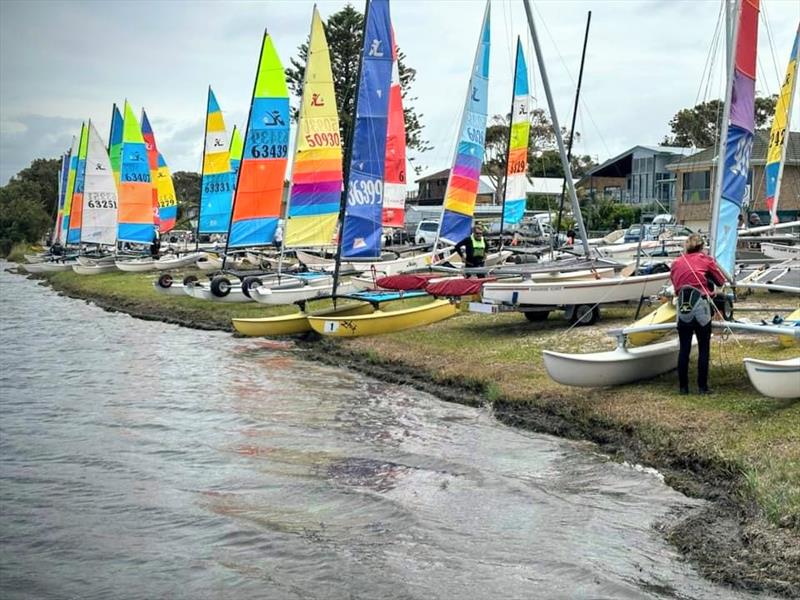 NSW Hobie Cat State Championships 2024 photo copyright Alannah Simpson taken at Toukley Sailing Club and featuring the Hobie 16 class