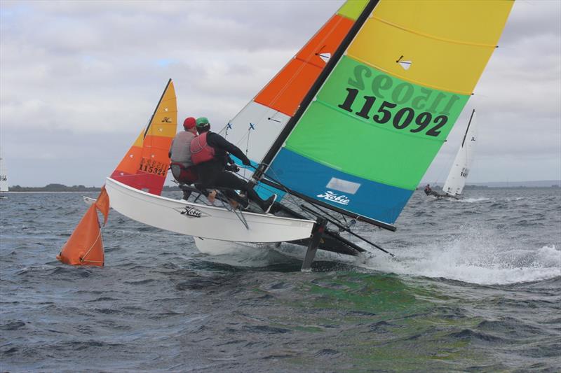 Hobie 16 racing in Busselton photo copyright Stephan van Blerk taken at  and featuring the Hobie 16 class