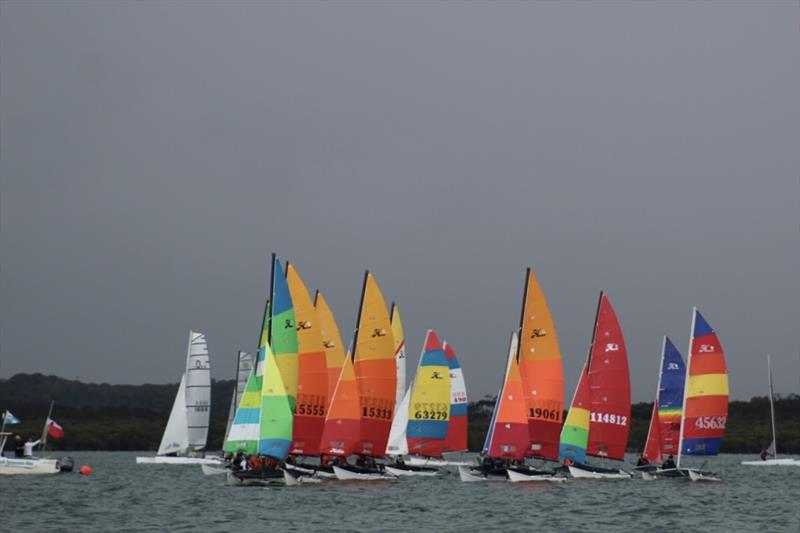 2023-24 NSW Hobie Cat State Championships at the Kurnell Catamaran Club photo copyright Alannah Simpson taken at  and featuring the Hobie 18 class