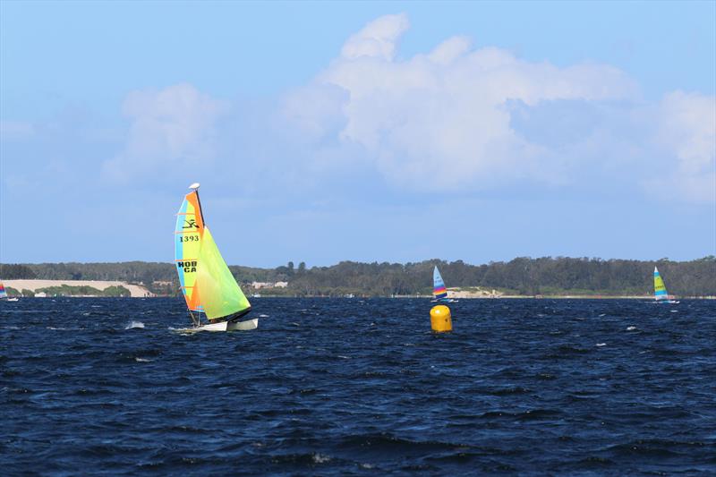 2026 Hobie Cat NSW State Championships at Wangi RSL Amateur Sailing Club - photo © Gavin Luxton