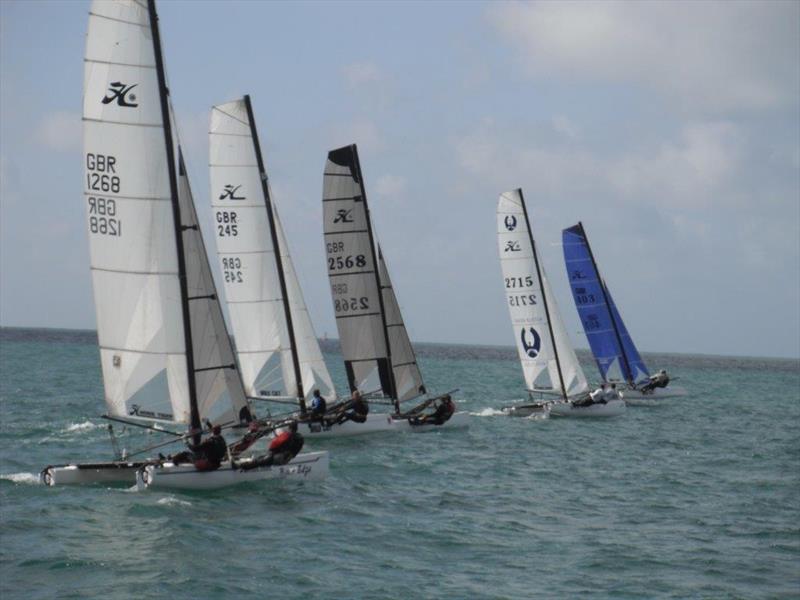 Hobie Tigers and Wildcats at the Stonehage Channel Islands Hobie Cat Championships 2014 photo copyright Elaine Burgis taken at Royal Channel Islands Yacht Club and featuring the Hobie Tiger class