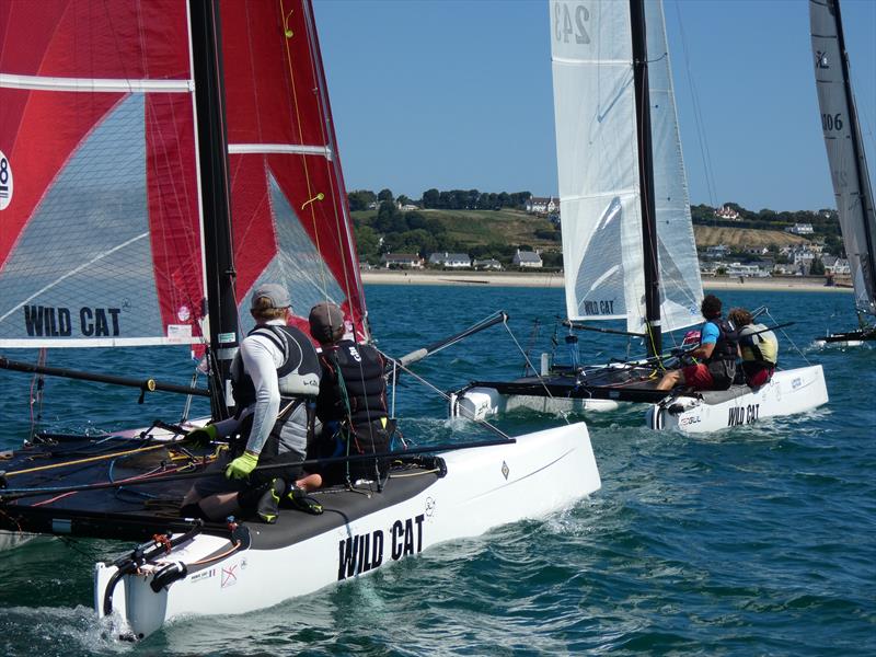 Hobie Wildcats starting during the Love Wine 'Summer Breeze' Series in Jersey photo copyright Elaine Burgis taken at Royal Channel Islands Yacht Club and featuring the Hobie Wild Cat class