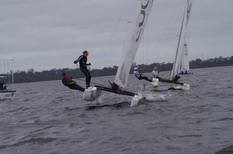 Cat Classic Regatta - Windrush Edge photo copyright Hobie Class Association of WA taken at Nedlands Yacht Club and featuring the Hobie Wild Cat class