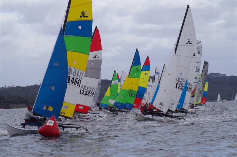 Cat Classic Regatta - start line photo copyright Hobie Class Association of WA taken at Nedlands Yacht Club and featuring the Hobie Wild Cat class