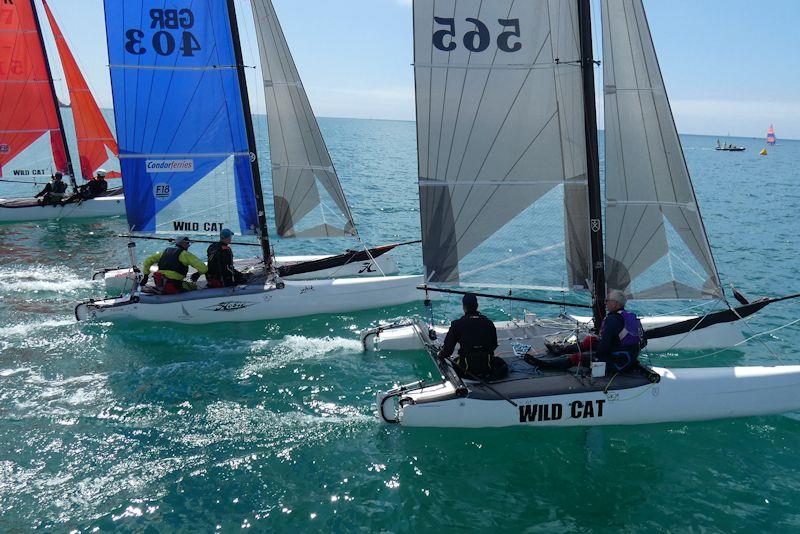 32nd Savills Channel Islands Hobie Cat Championships photo copyright Elaine Burgis taken at Royal Channel Islands Yacht Club and featuring the Hobie Wild Cat class