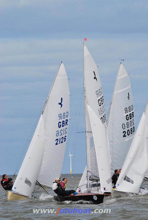 Action from the Hornet national championships photo copyright Richard Janulewicz / www.fotoboat.com taken at Herne Bay Sailing Club and featuring the Hornet class