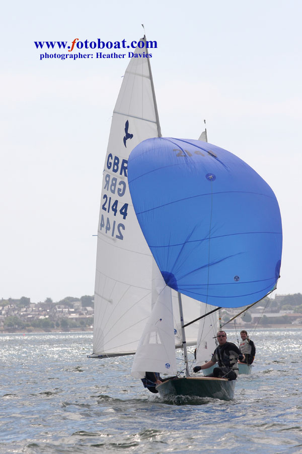 River Exe Regatta photo copyright Heather Davies / www.fotoboat.com taken at Topsham Sailing Club and featuring the Hornet class