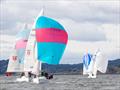 Queen Elizabeth Regatta at Royal Forth YC © Hannah Robertson