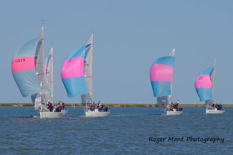 707 Nationals at Burnham Week photo copyright Roger Mant Photography taken at Royal Corinthian Yacht Club, Burnham and featuring the 707 class