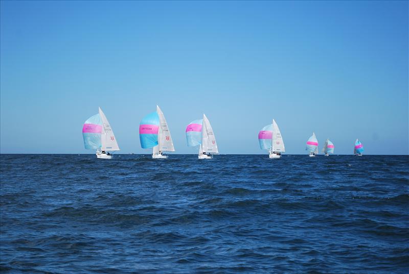 707 National Championships 2011 photo copyright Theresa Giles taken at Scarborough Yacht Club and featuring the 707 class