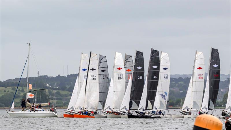 Start line - Allen Hurricane 5.9 SX Traveller Series at Starcross - photo © David Maynard / www.alleycatphotographer.com
