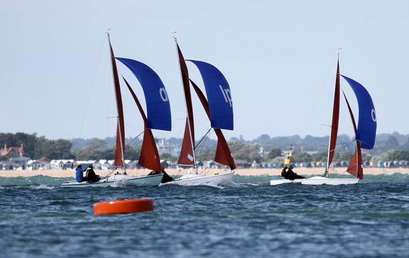 National Squib 50th Anniversary National Championship at Lendy Cowes Week 2018 photo copyright Mark Jardine taken at Cowes Combined Clubs and featuring the  class