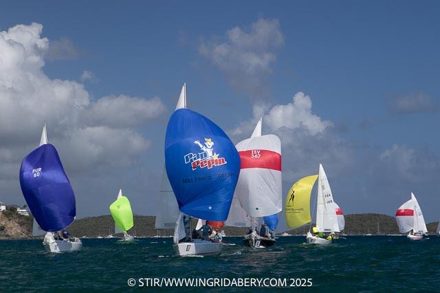 51st St. Thomas International Regatta Day 1: Tight racing in the IC24 class photo copyright STIR / www.ingridabery.com taken at St. Thomas Yacht Club and featuring the IC24 class