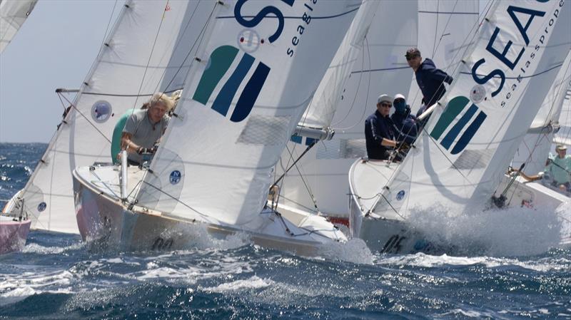 IC24 Fleets at St Thomas International Regatta 2025 photo copyright Ingrid Abery / STIR taken at  and featuring the IC24 class