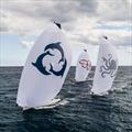 © Melges Performance Sailboats 2019 Melges IC37 Winter Series - Fall Cup © Melges Performance Sailboats