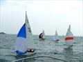 Bembridge Illusion St George's Day Trophy © Mike Samuelson