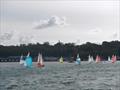 Bembridge Illusion Bill's Barrel 2025  © Mike Samuelson