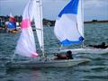 Bembridge Illusion Bill's Barrel 2025  © Mike Samuelson
