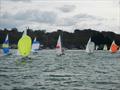 Bembridge Illusion Bill's Barrel 2025  © Mike Samuelson