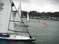 Bembridge Illusion Bill's Barrel 2025  © Mike Samuelson