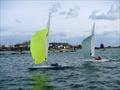 Bembridge Illusion Bill's Barrel 2025  © Mike Samuelson