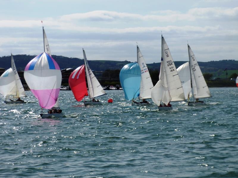Bembridge Illusion Vernon's Easter Egg Cup - photo © Mike Samuelson