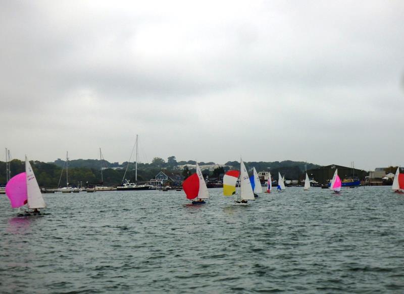 Downwind during race 1 of the Illusion season opener at Bembridge photo copyright Mike Samuelson taken at Bembridge Sailing Club and featuring the Illusion class