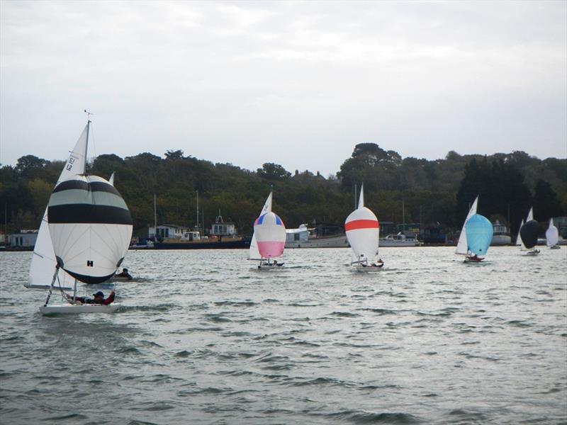 Bembridge Illusion Flying Dutchman Trophy - photo © Mike Samuelson