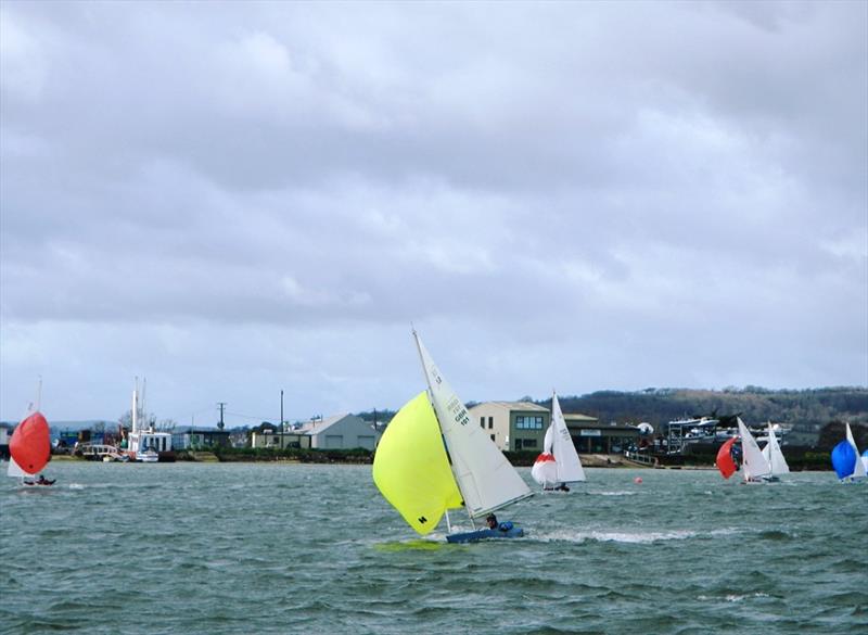 Bembridge Illusion Spring Plate 2024 - Race 1 photo copyright Mike Samuelson taken at Bembridge Sailing Club and featuring the Illusion class
