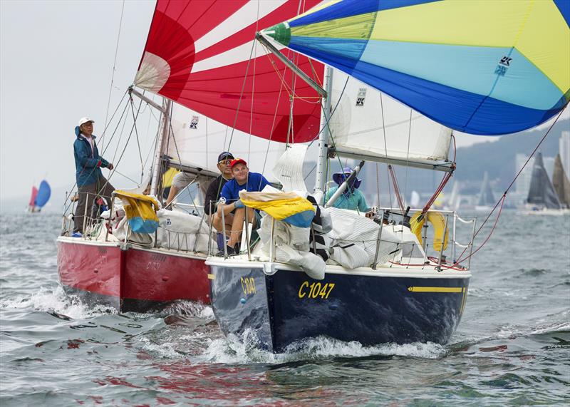 RHKYC Spring Regatta day 1 photo copyright RHKYC / Guy Nowell taken at Royal Hong Kong Yacht Club and featuring the Impala 28 class