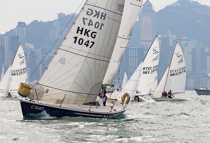 One Global HKRNVR Memorial Vase photo copyright RHKYC/ Guy Nowell taken at Royal Hong Kong Yacht Club and featuring the Impala 28 class