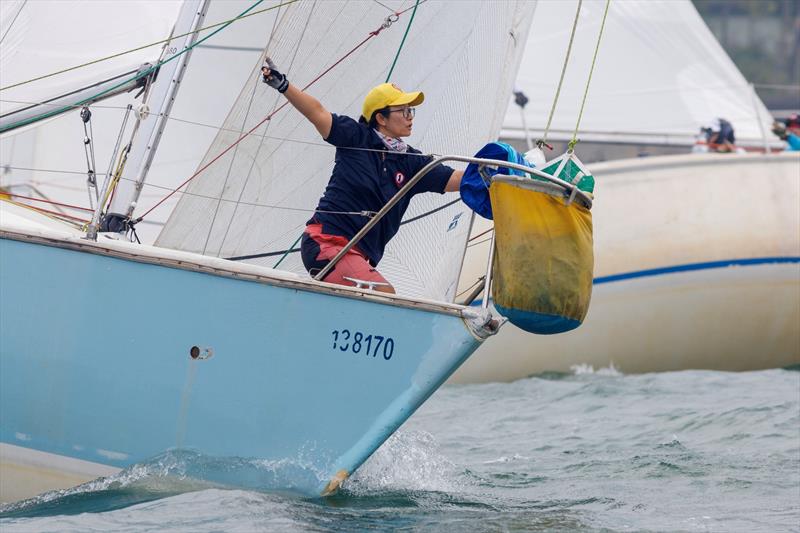 Tomes Cup 2025 photo copyright RHKYC / Guy Nowell taken at Royal Hong Kong Yacht Club and featuring the Impala 28 class