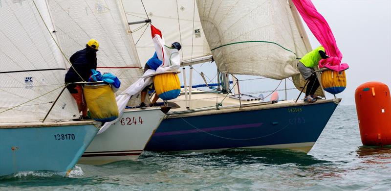 Tomes Cup 2025 photo copyright RHKYC / Guy Nowell taken at Royal Hong Kong Yacht Club and featuring the Impala 28 class