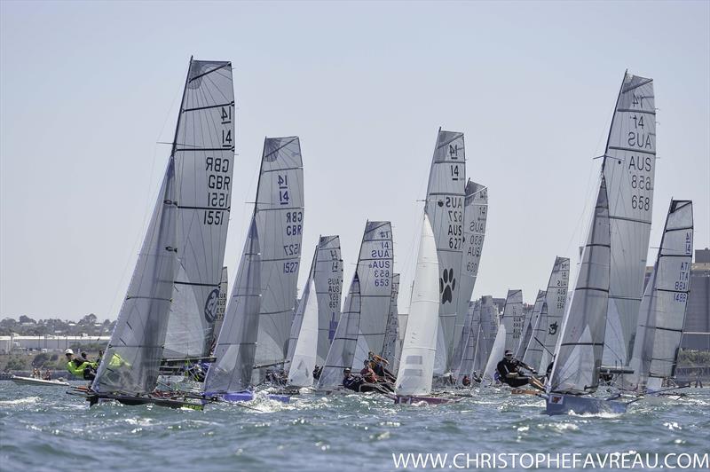 Day 4 of the International 14 Worlds in Geelong photo copyright Christophe Favreau / www.christophefavreau.com taken at Royal Geelong Yacht Club and featuring the International 14 class