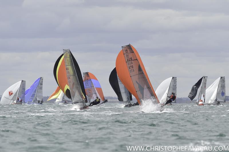 Race 6 of the International 14 Worlds in Geelong - photo © Christophe Favreau / www.christophefavreau.com