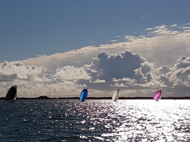 International 14 Walker Trophy at Itchenor - photo © Caroline Gosford