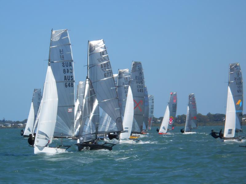 International 14 2018 Australian Championship at Darling Point Sailing