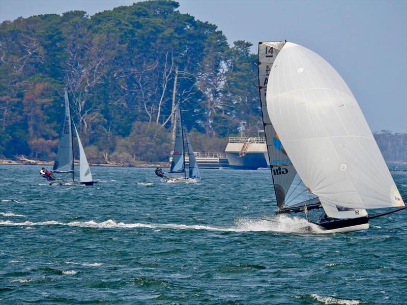 Skiff Regatta photo copyright John Graham taken at  and featuring the International 14 class